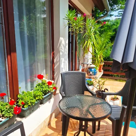 Vadasa Vendeghaz Vakantiehuis *