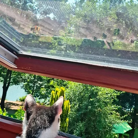 Vadasa Vendeghaz Vakantiehuis Hegyhátszentjakab