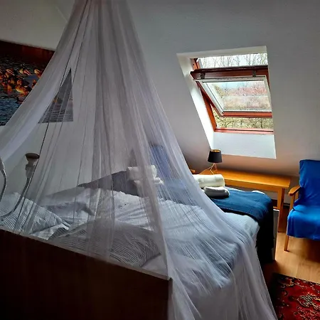 Vadasa Vendeghaz Case de vacanță