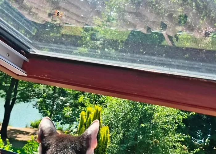 Vadasa Vendeghaz Vakantiehuis Hegyhátszentjakab